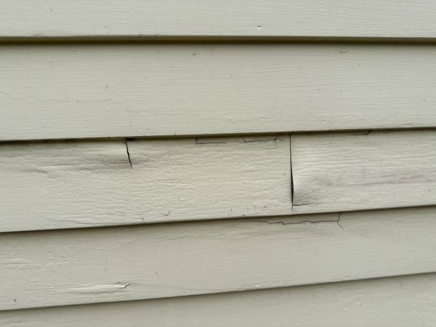 Siding Removal and Disposal in Gorman, TX